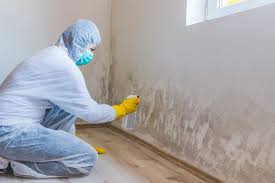 Trusted Hampshire, IL Mold Remediation Experts